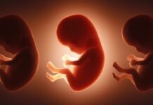 Дослідження показує, що немовлята піддаються впливу 42 «вічно хімікатів» до народження