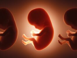 Дослідження показує, що немовлята піддаються впливу 42 «вічно хімікатів» до народження