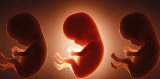 Дослідження показує, що немовлята піддаються впливу 42 «вічно хімікатів» до народження