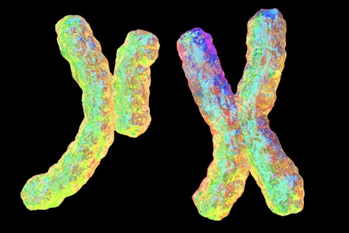 ed9a68c4-4e31-4f35-9f1e-9d27b756cf8f