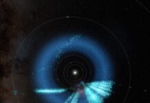 Обсерваторія Рубіна Швидко Розширює Каталог Астероїдів, Виявивши Понад 11 000 Нових Об’єктів