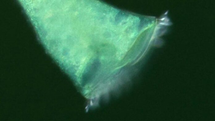 64261e62-eae8-4c8f-8e2c-9e7454040314