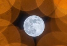 Лучшие научно-популярные книги апреля 2026 года