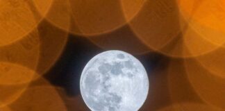 Лучшие научно-популярные книги апреля 2026 года