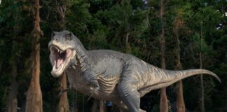 T-Rex Tidak Membutuhkan Senjata. Itu Punya Gigi.