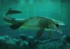 У водах з’явився новий T. rex. Він розколює черепи.