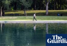 Водорості знаходять причину для Трампа