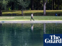 Водорості знаходять причину для Трампа