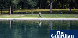 Водорості знаходять причину для Трампа