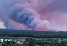 Чому пірокумулятус роблять лісові пожежі у Франції непередбачуваними