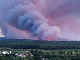Чому пірокумулятус роблять лісові пожежі у Франції непередбачуваними