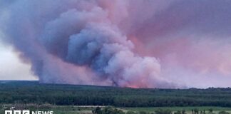 Waarom Franse Pyrocumulonimbuswolken bosbranden onvoorspelbaar maken