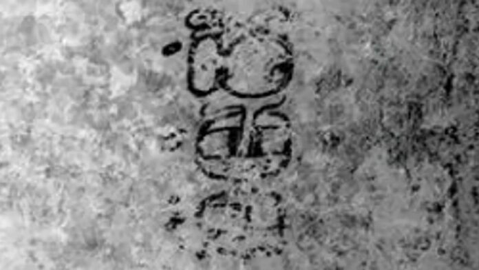 e1ea1362-0cf6-4ffa-95e7-5e192c32166c