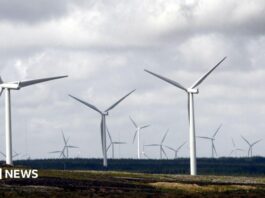 Repowering des Windparks Whitelee: Wie Schottlands Riese größer, kleiner und stärker wird